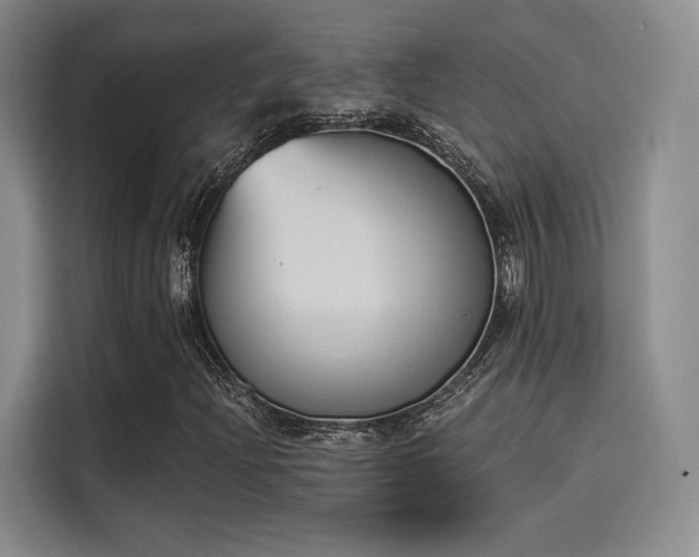 X0000114241204200910161625
