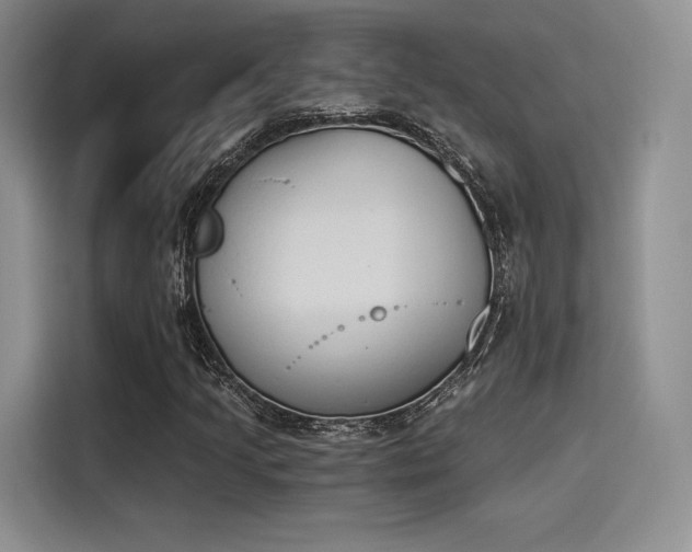 X0000114241205200910161625