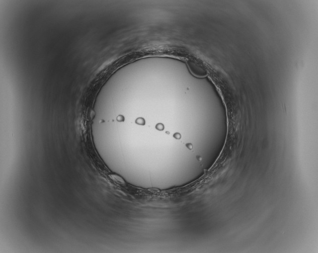 X0000114241206200910161625