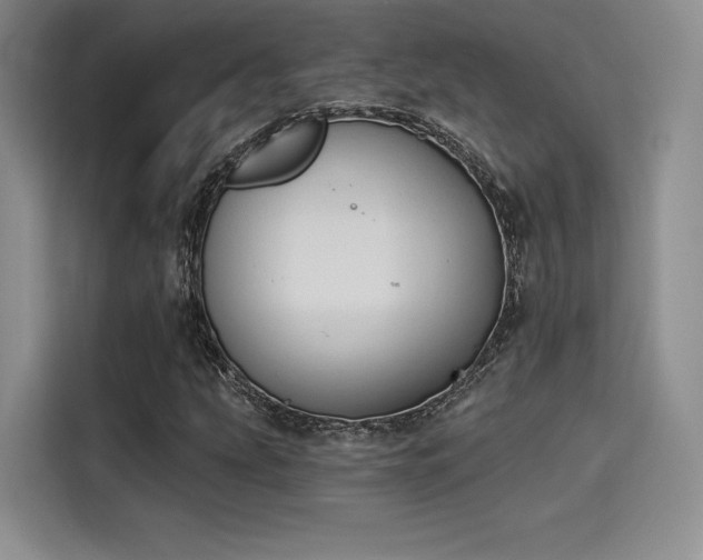 X0000114241207200910161626