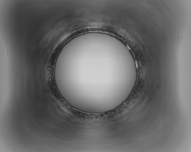 X0000114241208200910161626