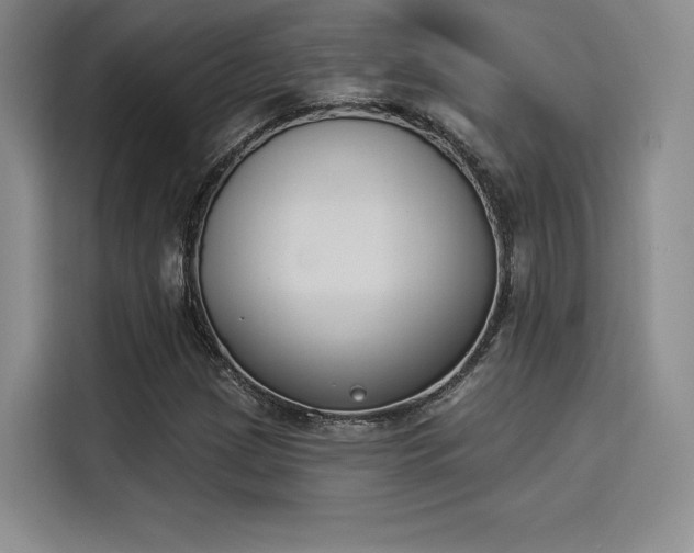 X0000114241209200910161626