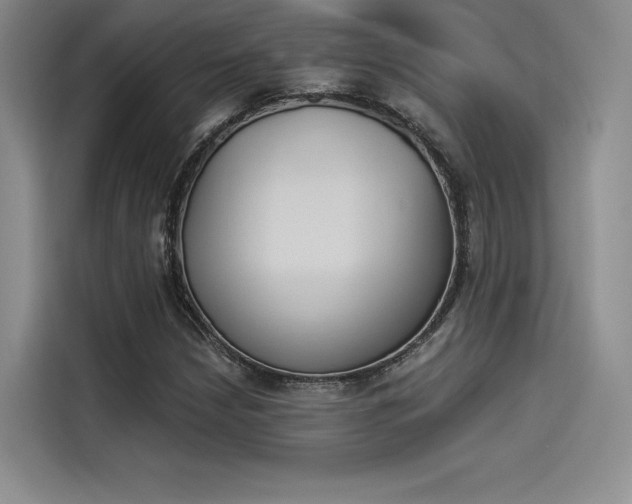 X0000114241210200910161626