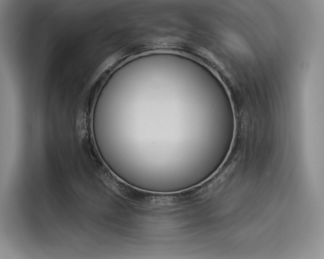 X0000114241211200910161626
