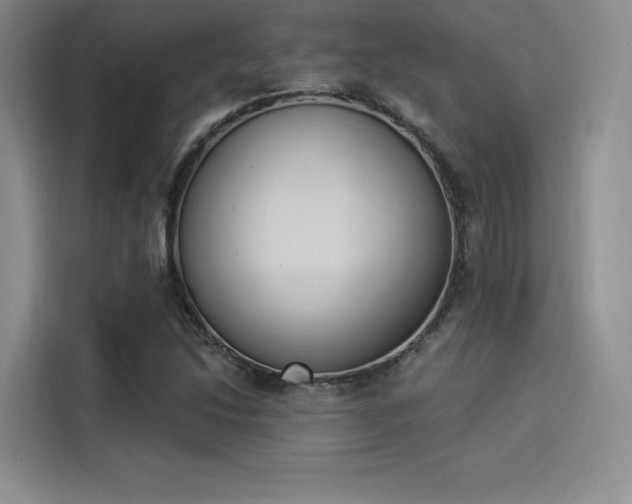 X0000114241214200910161626