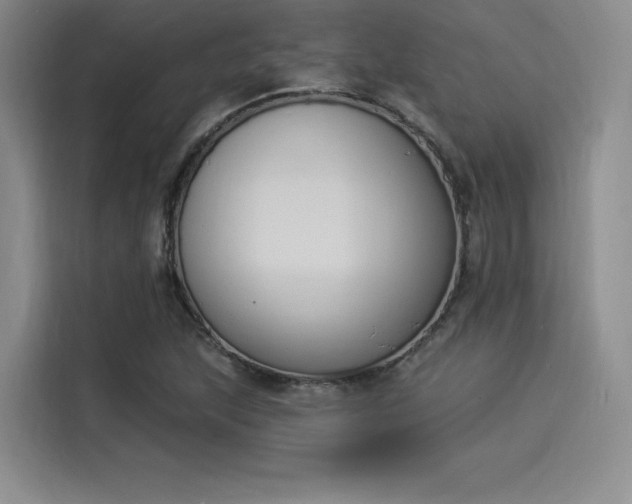 X0000114241215200910161626
