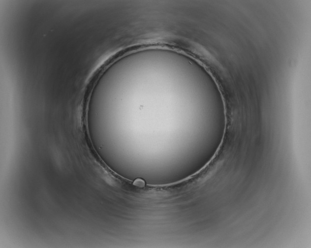 X0000114241216200910161626