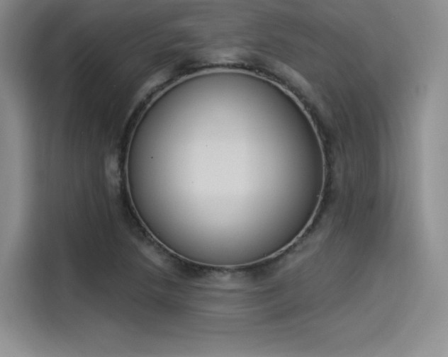 X0000114241218200910161626