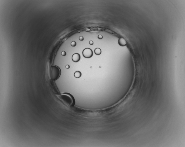 X0000114241219200910161626