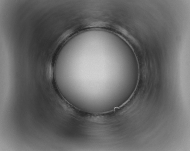 X0000114241221200910161626