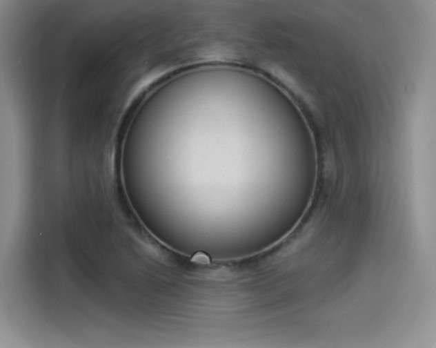 X0000114241222200910161626