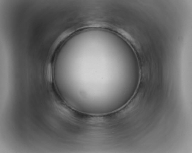 X0000114241223200910161626