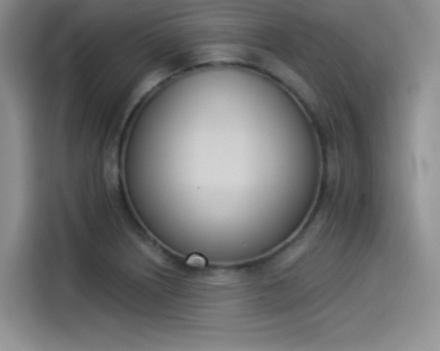 X0000114241226200910161626