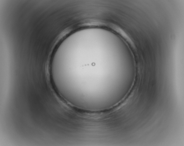 X0000114241229200910161626