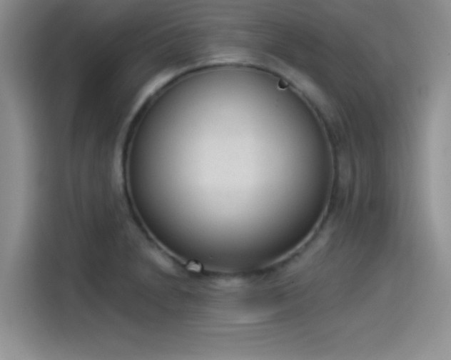 X0000114241230200910161626