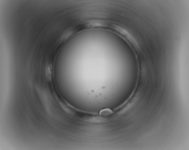 X0000114241233200910161626
