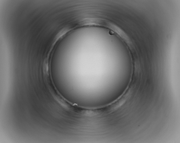 X0000114241234200910161626
