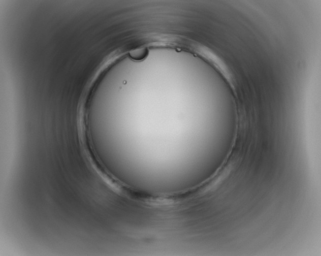 X0000114241235200910161626