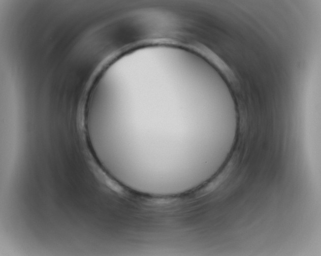 X0000114241240200910161626