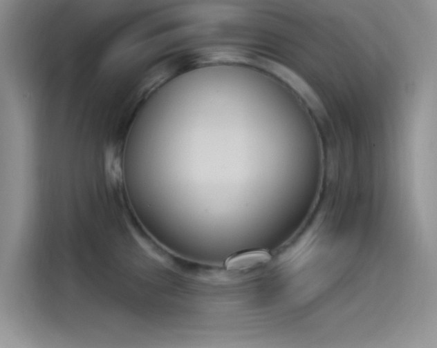 X0000114241241200910161626