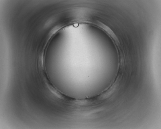 X0000114241242200910161626