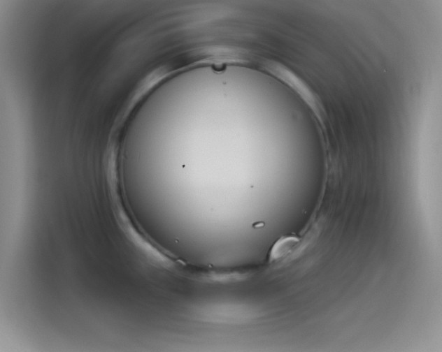 X0000114241243200910161626