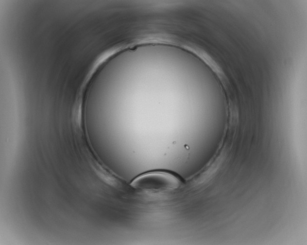 X0000114241246200910161626