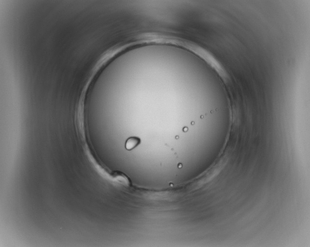 X0000114241247200910161626