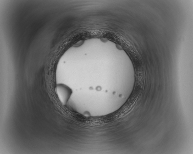 X0000114241249200910161625