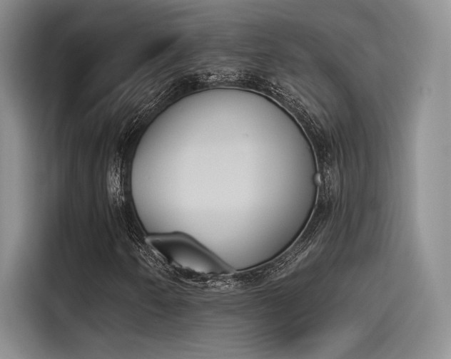X0000114241250200910161625