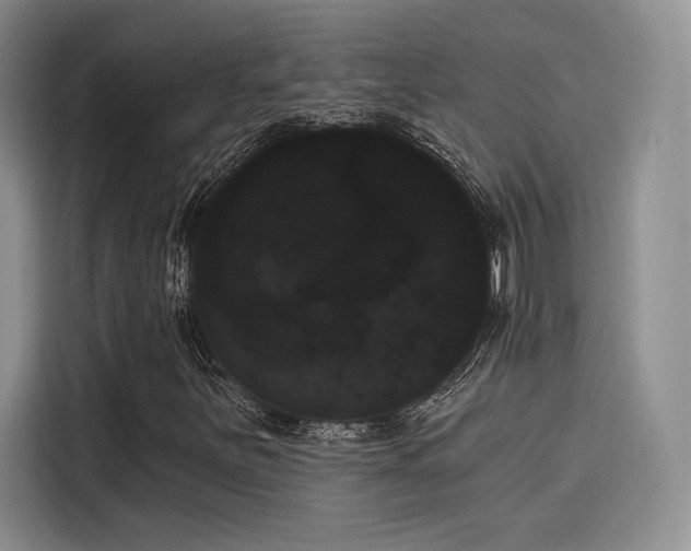 X0000114241251200910161625