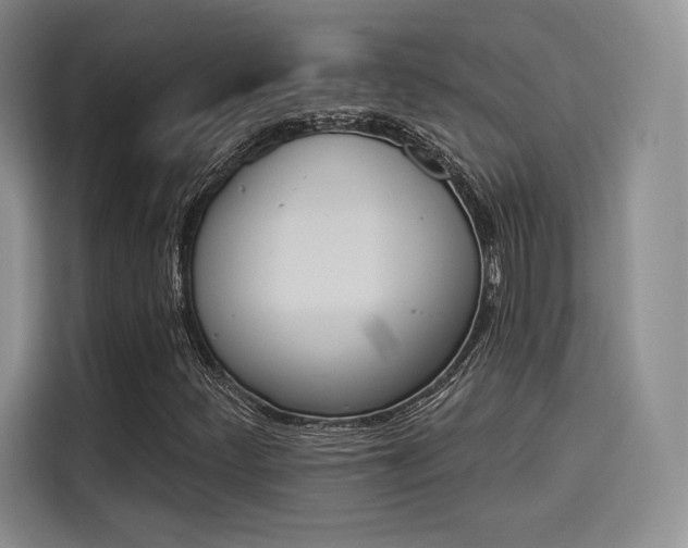 X0000114241252200910161625