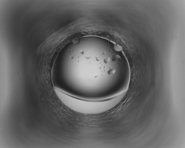 X0000114241253200910161625