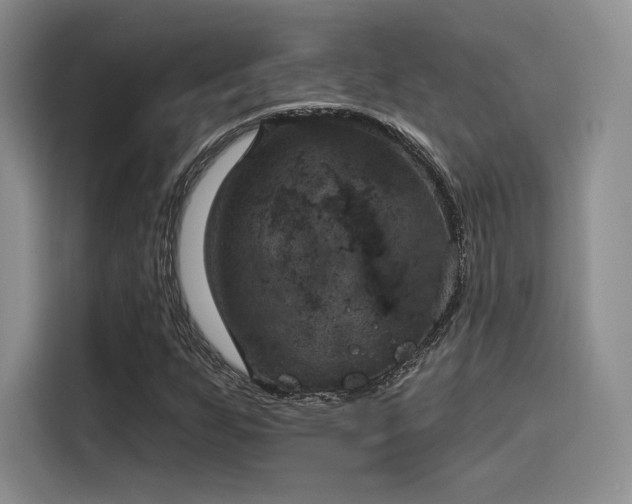 X0000114241255200910161625