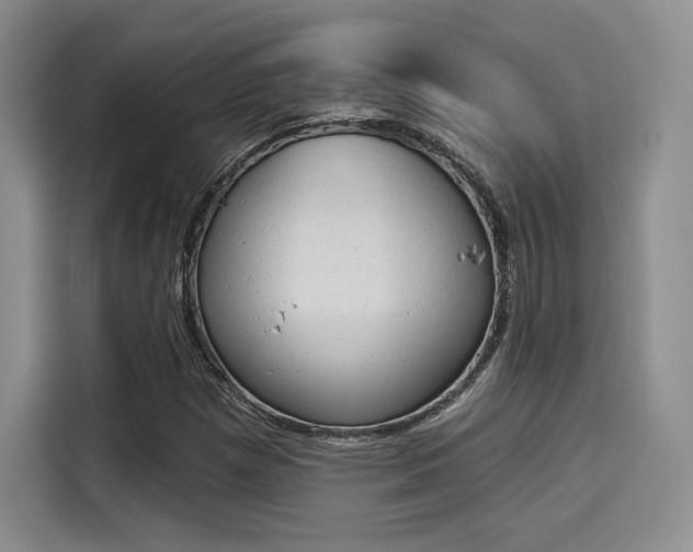 X0000114241257200910161625
