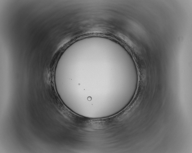 X0000114241258200910161625