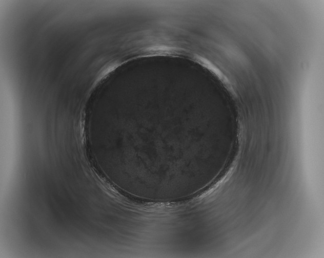 X0000114241259200910161625