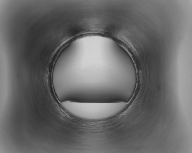 X0000114241260200910161625