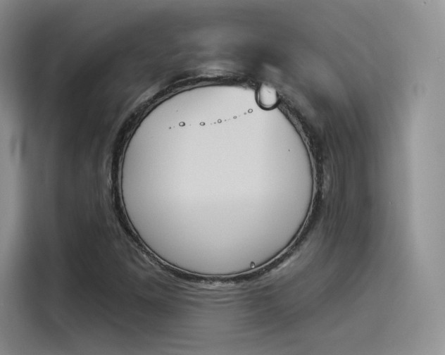 X0000114241261200910161625
