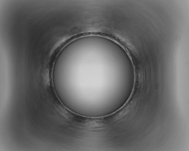X0000114241262200910161625