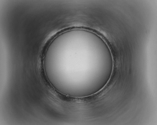 X0000114241263200910161625