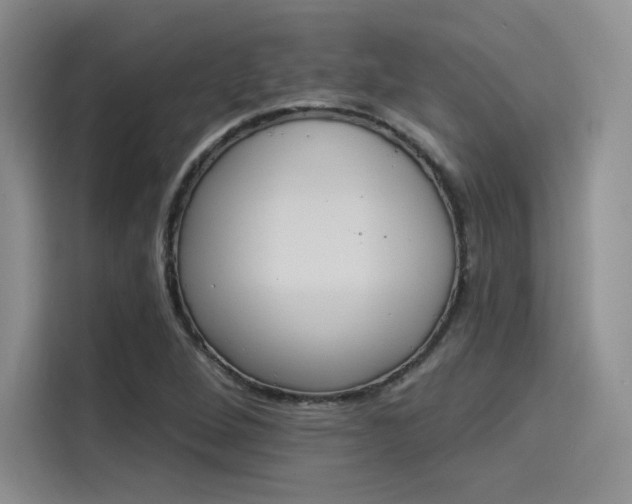 X0000114241264200910161625