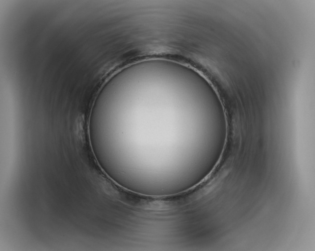X0000114241265200910161625