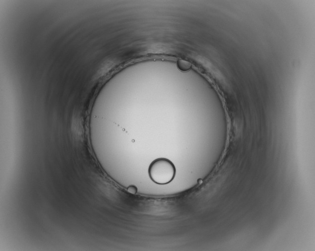 X0000114241266200910161625