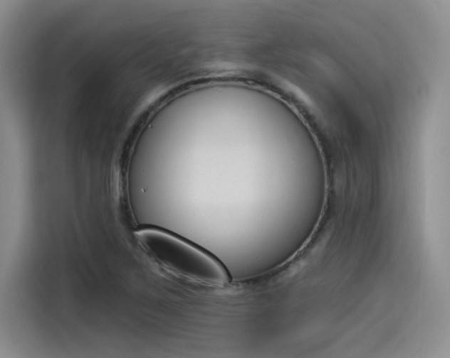 X0000114241267200910161625
