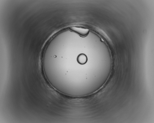 X0000114241268200910161625
