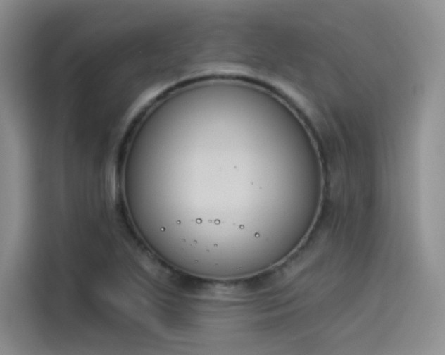 X0000114241271200910161625