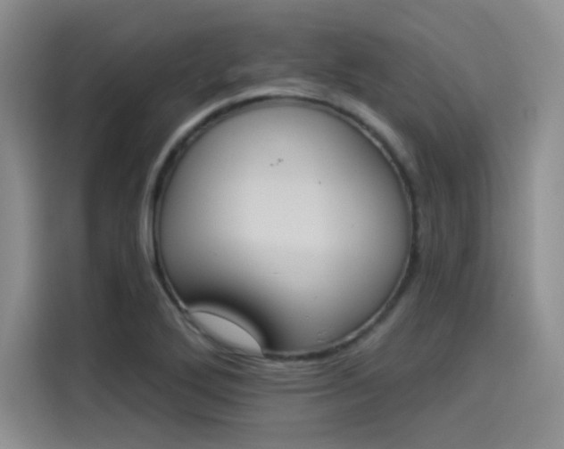 X0000114241272200910161625