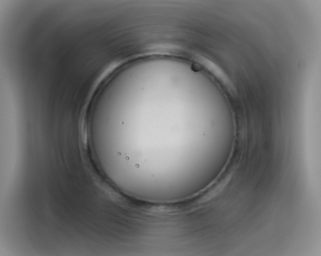 X0000114241275200910161625