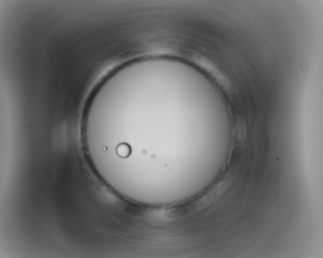 X0000114241278200910161625